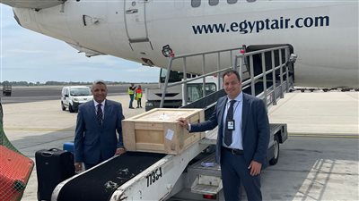 مصر للطيران تنقل كنوز مصر بالمجان على رحلتها القادمة من إيطاليا
