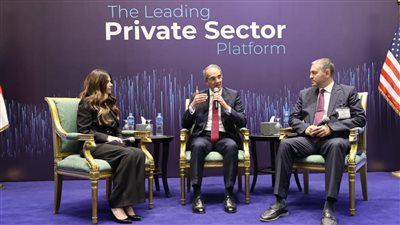 الحكومة: 4.9 مليار دولار حجم صادرتنا الرقمية