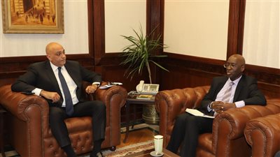 «جهاز تنمية المشروعات» يبحث سبل التعاون المشترك مع بنك التنمية الأفريقي