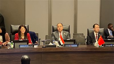 «وزير المالية» القطاع الخاص.. «قاطرة نمو» الاقتصادات الناشئة.. فى ظل التحديات العالمية