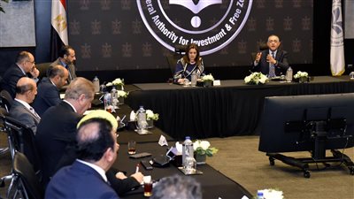 عاجل.. «مصر» تبدأ أولي خطوت إنشاء شركة المصريين في الخارج