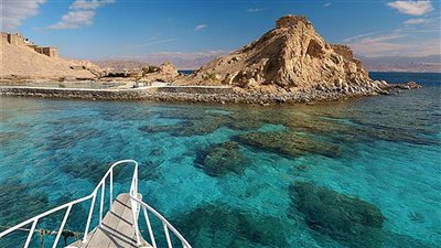 حالة طوارئ بمحميات جنوب سيناء بعد هجوم سمكة قرش على مواطنة مصرية