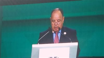 «وزير المالية»المحفظة الاستثمارية للبنك الآسيوي في مصر بلغت 1,3 مليار دولار