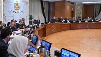 مصر تعلن وقف العمل في المشروعات الحديثة لحين انتهاء (الأزمة الاقتصادية)