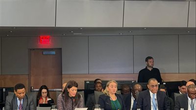 المشاط : نؤيد الدعوة لخفض الرسوم الإضافية التي يفرضها صندوق النقد الدولي 