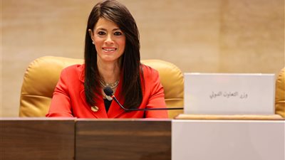 رانيا المشاط: نحتاج لتحقيق 