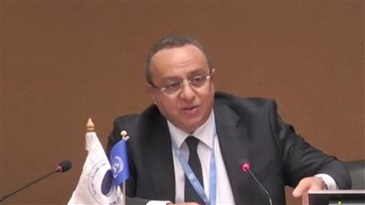 «وسام فتوح»:الفجوة المالية لمتطلبات تمويل التنمية المستدامة في العالم العربي تفوق  100 مليار دولار سنوياً