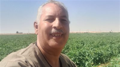 نقيب الفلاحين يكشف مفاجأة بشان «طماطم عضة الثعبان»