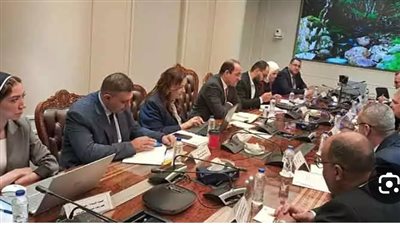 ربيع وكجوك يبحثان سبل تنمية إيرادات قناة السويس