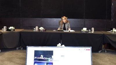  تعاون بين الهيئة العامة للاستثمار وOECD لتحسين إحصاءات الاستثمار الأجنبي المباشر