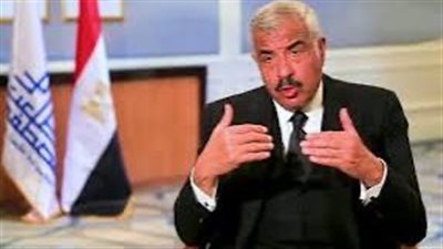 هشام طلعت مصطفي: إعادة إعمار غزة تحتاج لضمانات دولية وحماية أمنية