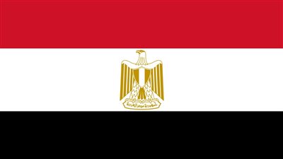 مصدر رفيع المستوى: لا صحة لوجود اتصال هاتفي بين الرئيس السيسي ونظيره الأمريكي