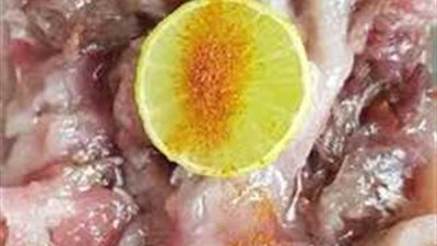 أسعار الفسيخ والرنجة في وقفة عيد الفطر 2025