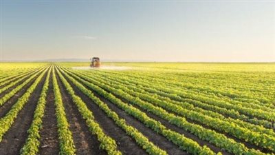 “لوتس للتنمية” تعتمد القوائم المالية وتُرحل أرباح 2024 بعد اقتطاع الاحتياطي القانوني