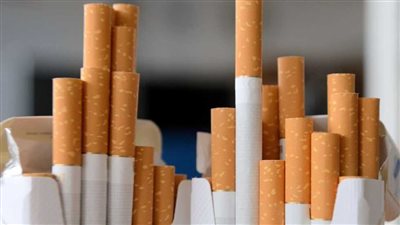 الإحصاء: الفئة العمرية 35 : 44 سنة أعلى نسبة مدخنين في مصر