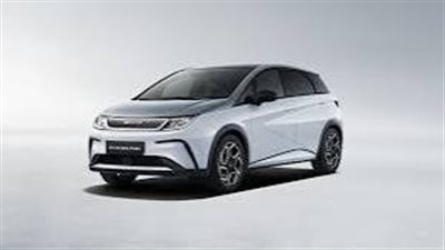 BYD تخطط لمضاعفة معارضها في أفريقيا 