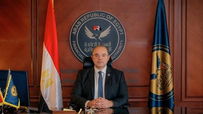 الرقابة المالية” تُصدر ضوابط ترخيص إنشاء المواقع الإلكترونية لشركات وصناديق التأمين