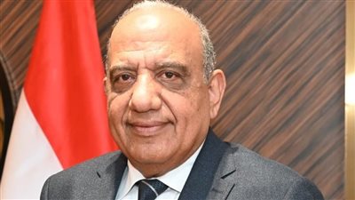وزير الكهرباء يبحث مع منظمة تطوير وترابط الطاقة العالمية سبل التعاون