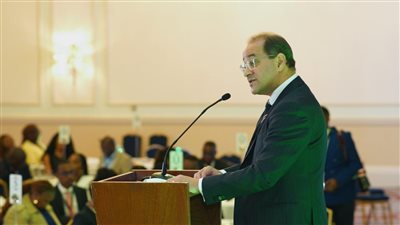 المالية:الاستثمارات الأجنبية بدأت تتدفق إلى مصر