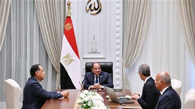 الرئيس السيسي يوجّه بدعم شبكات الاتصالات وتوسيع التغطية