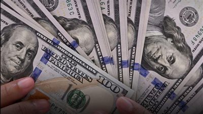 استقرار سعر الدولار مقابل الجنيه المصري في ختام تعاملات الجمعة