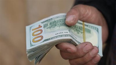 فيتش سوليوشنز: تحويلات المصريين بالخارج ترتفع إلى 37.8 مليار دولار 