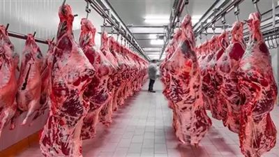 شعبة القصابين ترد على نقيب الفلاحين: أسعار اللحوم  لا تعكس ما أُعلن عن السعر العادل