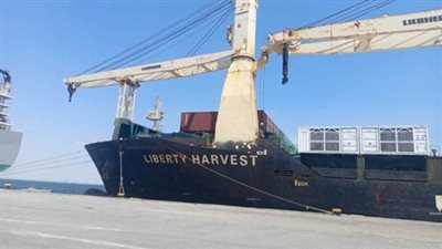 موانئ المنطقة الاقتصادية تستقبل سفنًا استراتيجية بميناءي السخنة والأدبية