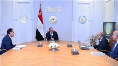 السيسي يوجّه بتوسيع الاعتماد على الطاقة المتجددة وتطوير الشبكة القومية للكهرباء