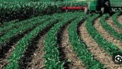 “نيوداب” تعلن تشكيل مجلس إدارة جديد بعد عزل السابق وسط مخالفات جسيمة وتحقيقات رقابية