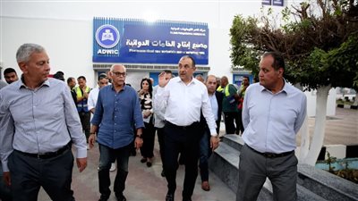  وزير قطاع الأعمال: تطوير 