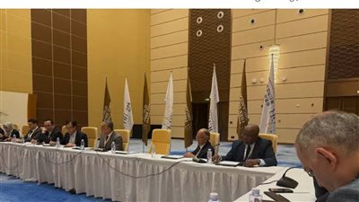 الرئيس التنفيذي لهيئة الاستثمار يدعو للتوسع في الشراكات بين المناطق الحرة عالميًا