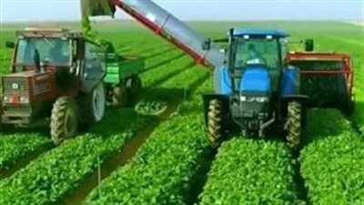 خبير اقتصادي: مبادرة التمويل الإنتاجي بـ90 مليار جنيه تعزز نمو الصناعة والزراعة