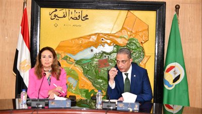 محافظ الفيوم ونائب وزير الاتصالات يبحثان تنفيذ خطط التطوير المؤسسي الرقمي 