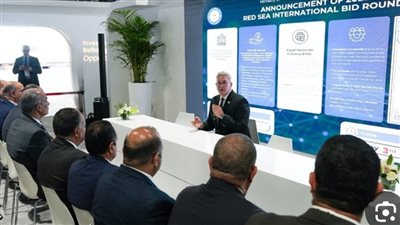 مصر تطرح مزايدة عالمية جديدة للبحث عن البترول والغاز في 4 مناطق بالبحر الأحمر