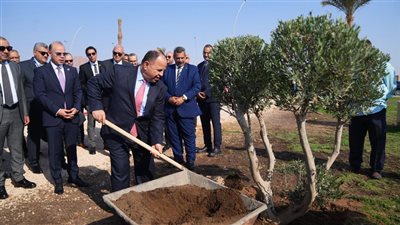 الرقابة المالية تواصل جهودها لخفض الانبعاثات عبر مبادرة تشجير في شرم الشيخ