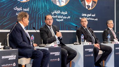 وزير المالية: طرح الحزمة الثانية من التسهيلات الضريبية على القيادة السياسية خلال نوفمبر