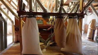 مطاحن مصر ترفع توزيعات الأرباح إلى 5 جنيهات