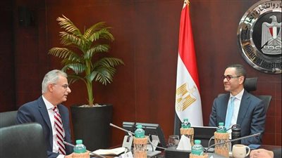 وزير الاستثمار يبحث مع “باور إيديسون” الأمريكية تعزيز التعاون في حلول الطاقة المستدامة