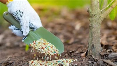 “الدولية للأسمدة” تدرس الاستحواذ على 40% من “العروبة للتجارة والتعدين”