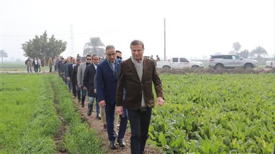 وزير الزراعة ومحافظ الفيوم يتفقدان زراعات القمح ومجمع الخدمات الزراعية بإطسا