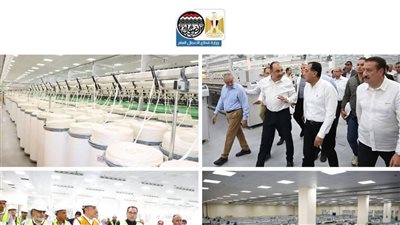 126 مليار جنيه إيرادات و24 مليار أرباح.. حصاد إنجازات قطاع الأعمال العام في 2025