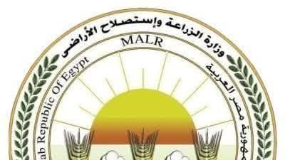 «الزراعة» تعلن فتح السوق الأوزبكي أمام صادرات مصر من الفراولة الطازجة