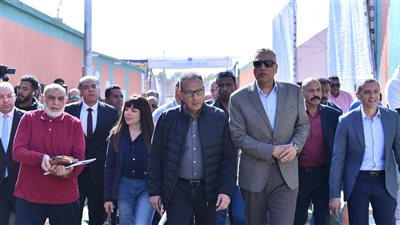 البنك الأهلي المصري يسلم وحدات سكنية ومشروعات صغيرة للأسر المستفيدة بأسوان