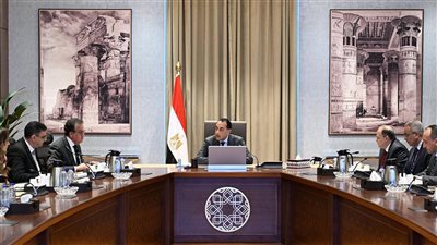 مدبولي يترأس اجتماعًا لمتابعة توافر الأدوية وسداد مستحقات شركات الدواء