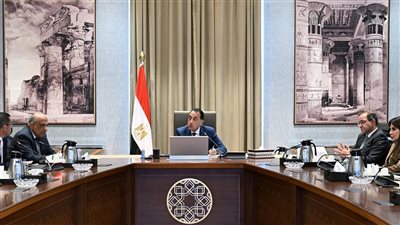 رئيس الوزراء يتابع تنفيذ مشروعات الطاقة ويؤكد دعم الدولة لجذب الاستثمارات