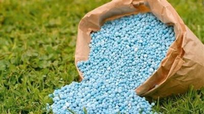 الحكومة تنفي نقص التقاوي والأسمدة المعتمدة لزراعة القمح