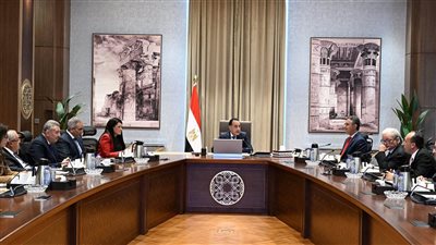 رئيس الوزراء يتابع الموقف التنفيذي الحالي لمشروعات حماية الشواطئ
