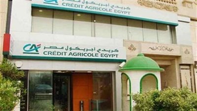 6.9 مليار جنيه أرباح 