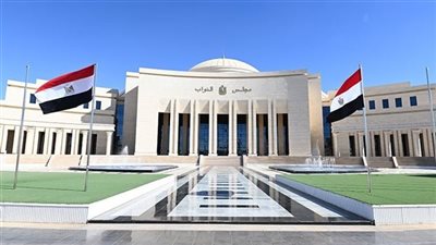 برلمان مصر يتخذ خطوات لحماية مستخدمي الإنترنت من نفاد الباقات المبكر